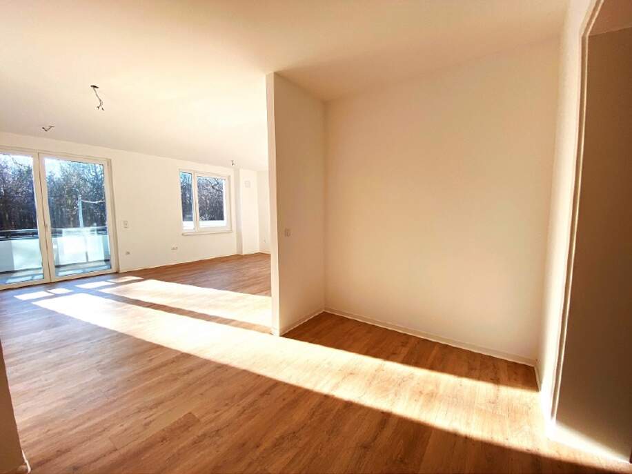 Eingang Wohnzimmer