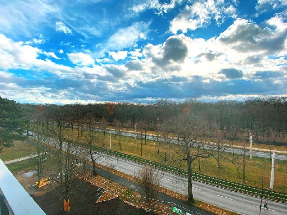 Blick auf dem Großen Garten - Immobilienmakler Dresden, Chemnitz, Leipzig