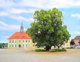 Einfamilienhaus mit Einliegerwohnung oder Mehrgenerationshaus zum Kauf!