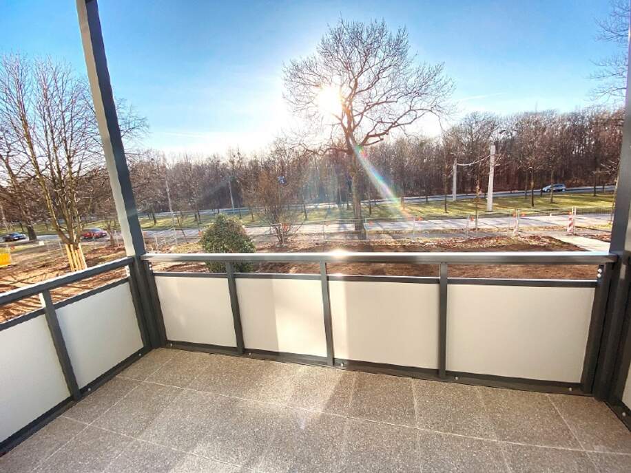 Blick auf den Großen Garten - Immobilienmakler Dresden, Chemnitz, Leipzig