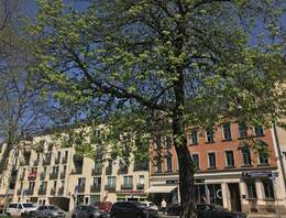 Großzügige 3 Zimmer Dachgeschosswohnung in Gablenz mieten